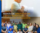 REUNIÃO DE APROVAÇÃO DA AGENDA TRANSVERSAL DA CRIANÇA E DO ADOLESCENTE