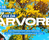 DIA DA ÁRVORE | 21 DE SETEMBRO
